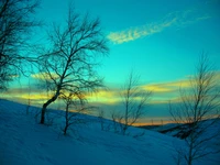 Crepúsculo de inverno gelado: Uma paisagem serena sob um céu colorido