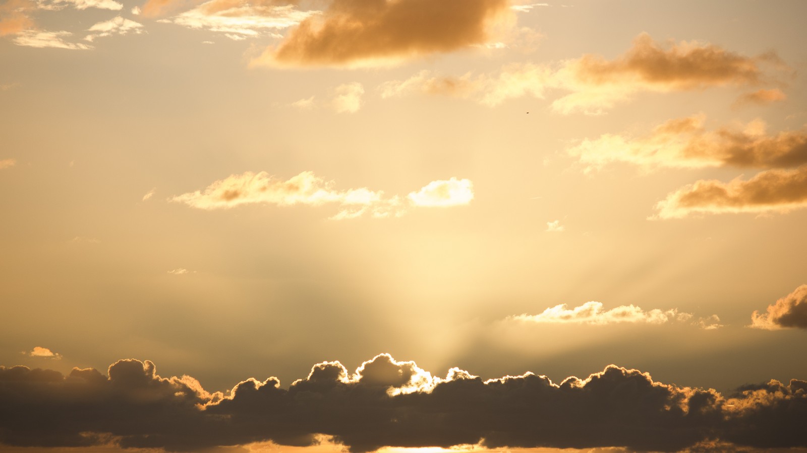 Des girafes volant dans le ciel avec le soleil derrière elles (nuage, coucher de soleil, ensoleillement, cumulus, horizon)