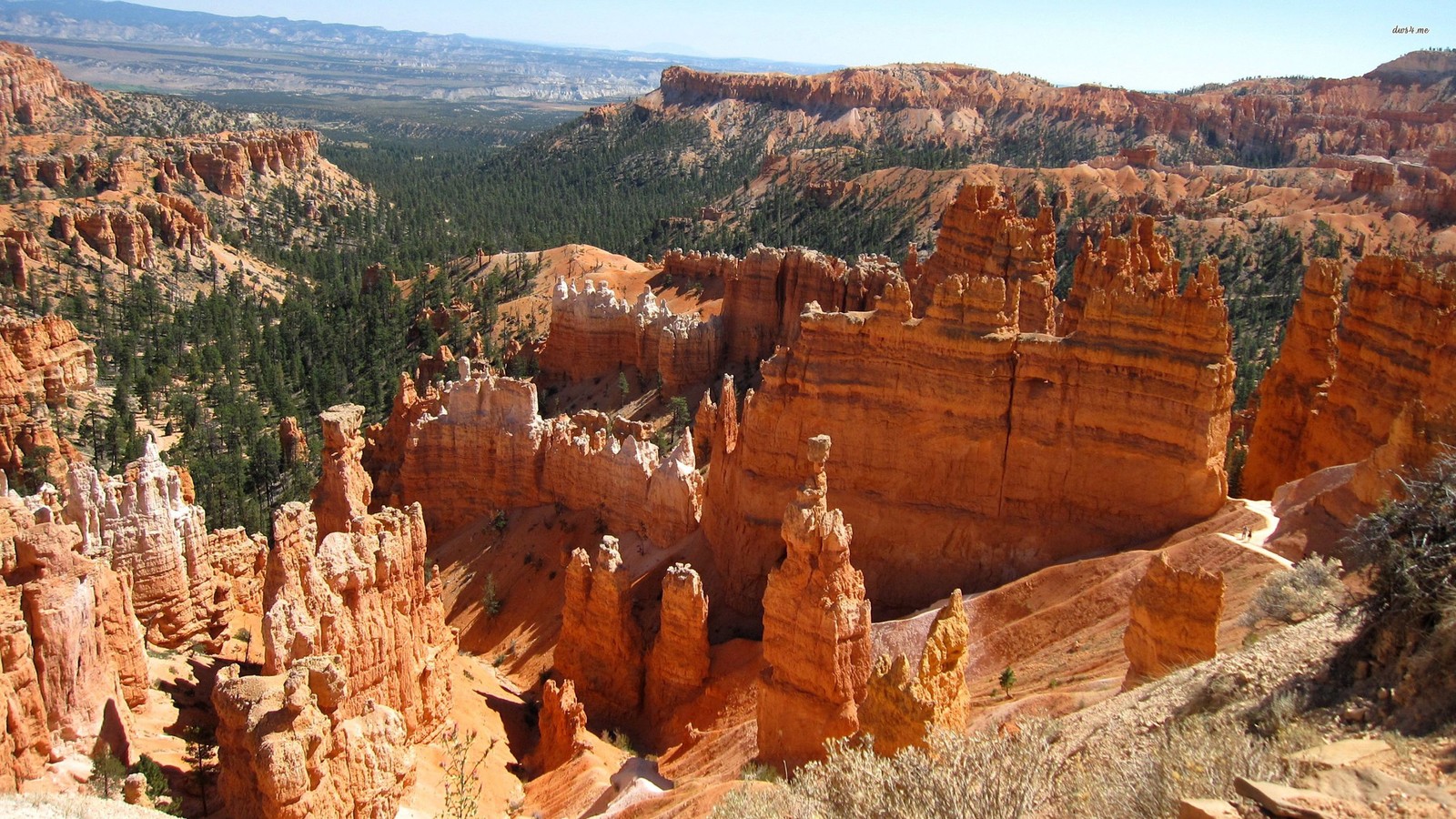 Canyon dans le parc national de bryce, utah (parc national de bryce canyon, parc national, canyon, parc, parc national de zion)