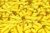 Une exposition vibrante de bananes fraîches et mûres empilées ensemble, mettant en valeur leur couleur jaune vif et leur richesse naturelle.