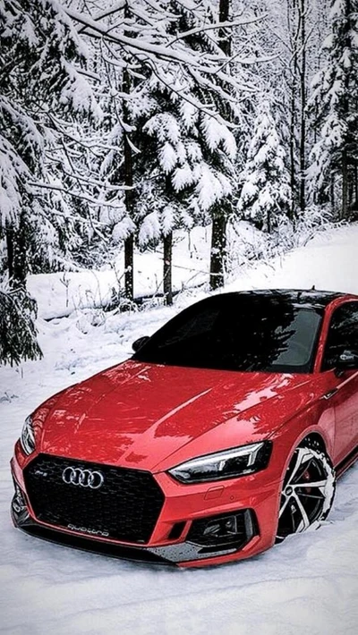 audi, coche, nuevo, rojo, invierno