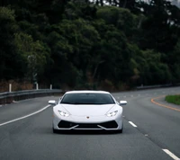 voiture, lamborghini, nouveau