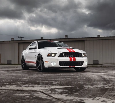 coche, ford, músculo, mustang, sintonizado