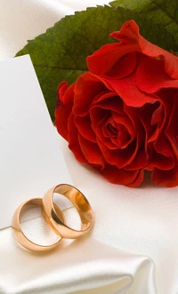 red, red rose, rings, rose wallpaper