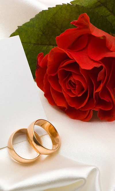 red, red rose, rings, rose