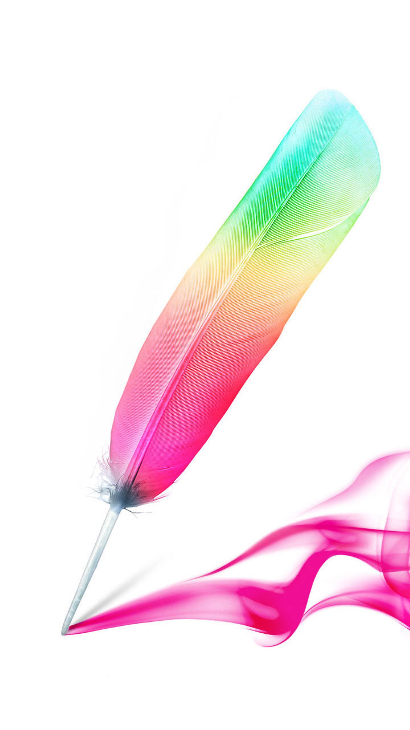 There is a colorful feather that is sitting on a stick (feather, g4, lg, pen, stylo)