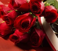 Rosas rojas vibrantes: Un símbolo atemporal de amor y belleza