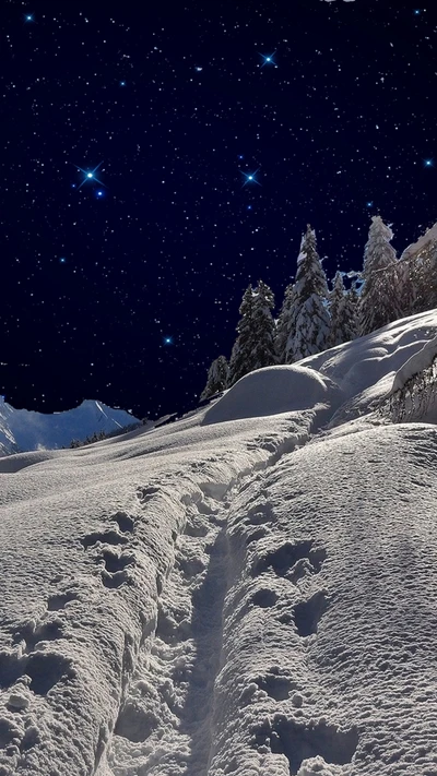 Noite estrelada sobre trilha montanhosa nevada