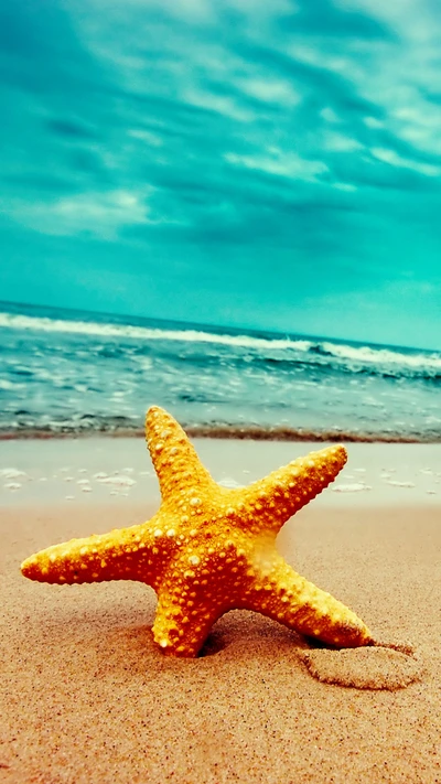 Estrella de mar dorada en la tranquila orilla de la playa