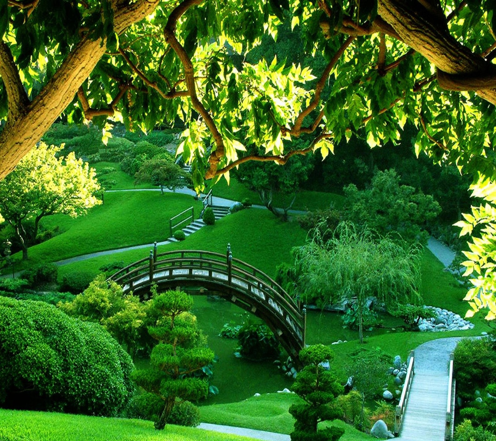 Arafed bridge over a small pond in a lush green park (backgrond, bridge, green, landscape, nature)