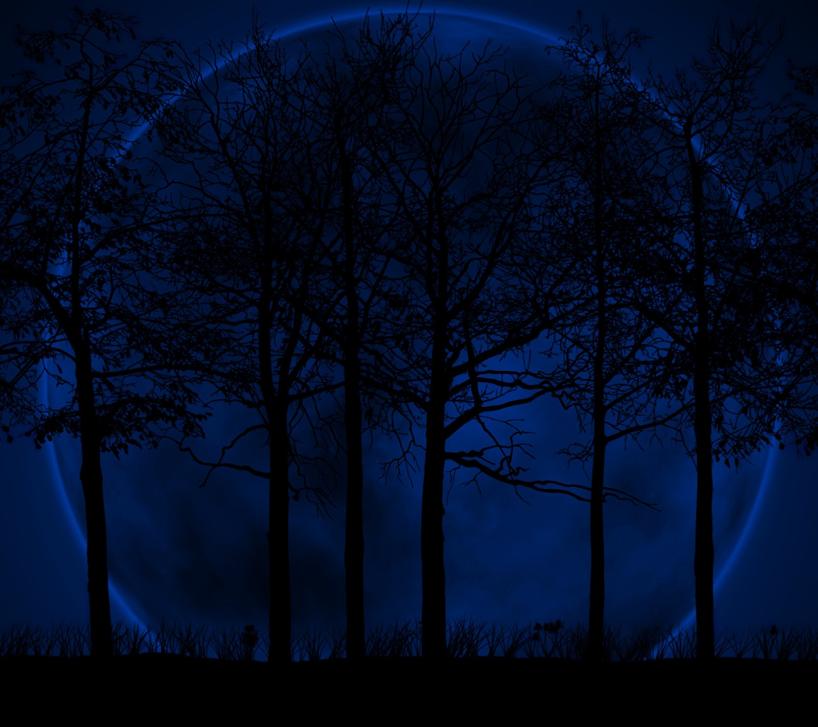 Une photo faiblement éclairée d'une pleine lune dans le ciel avec des arbres (bleu, lune, ombre, silhouette)