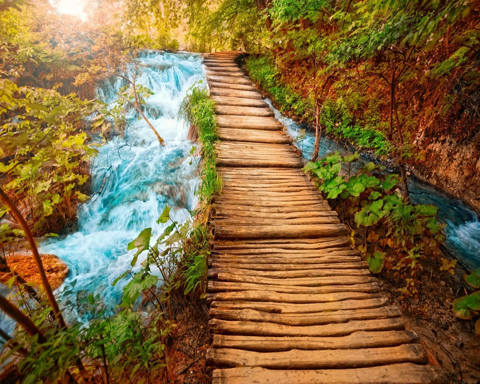 Ein holzweg führt zu einem wasserfall im wald (natur, wasserfall)