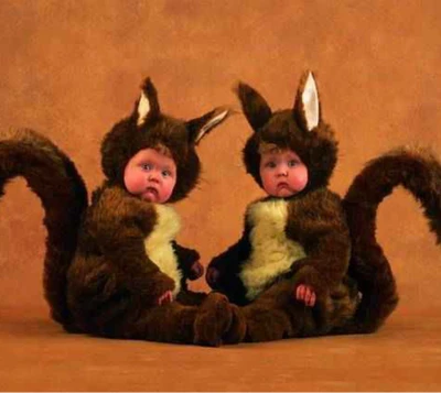 anne geddes, babies, squirrel