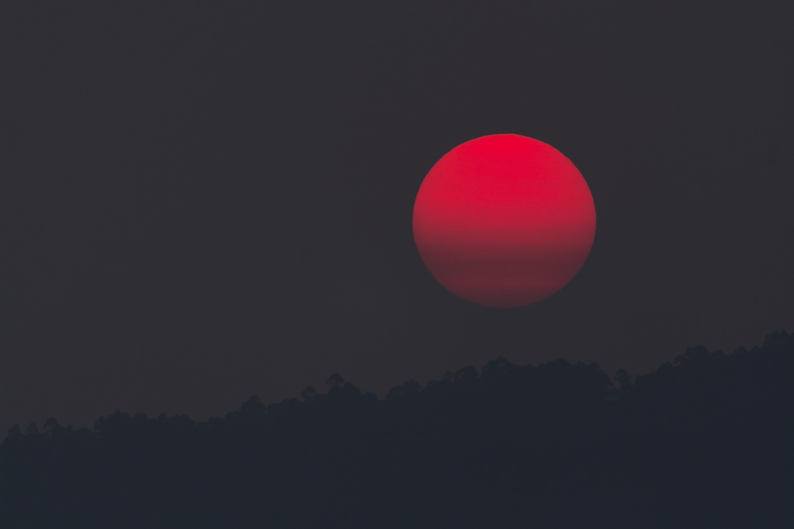 Des girafes volent dans le ciel au coucher du soleil avec un soleil rouge (abej, beograd, crépuscule)