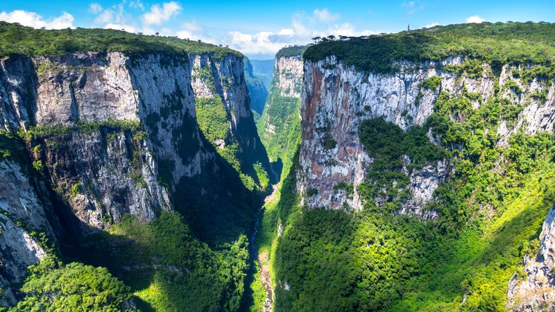 Вид на ущелья гор в бразильской амазонии (itaimbezinho, каньон, rio grande do sul, бразилия, пейзаж)