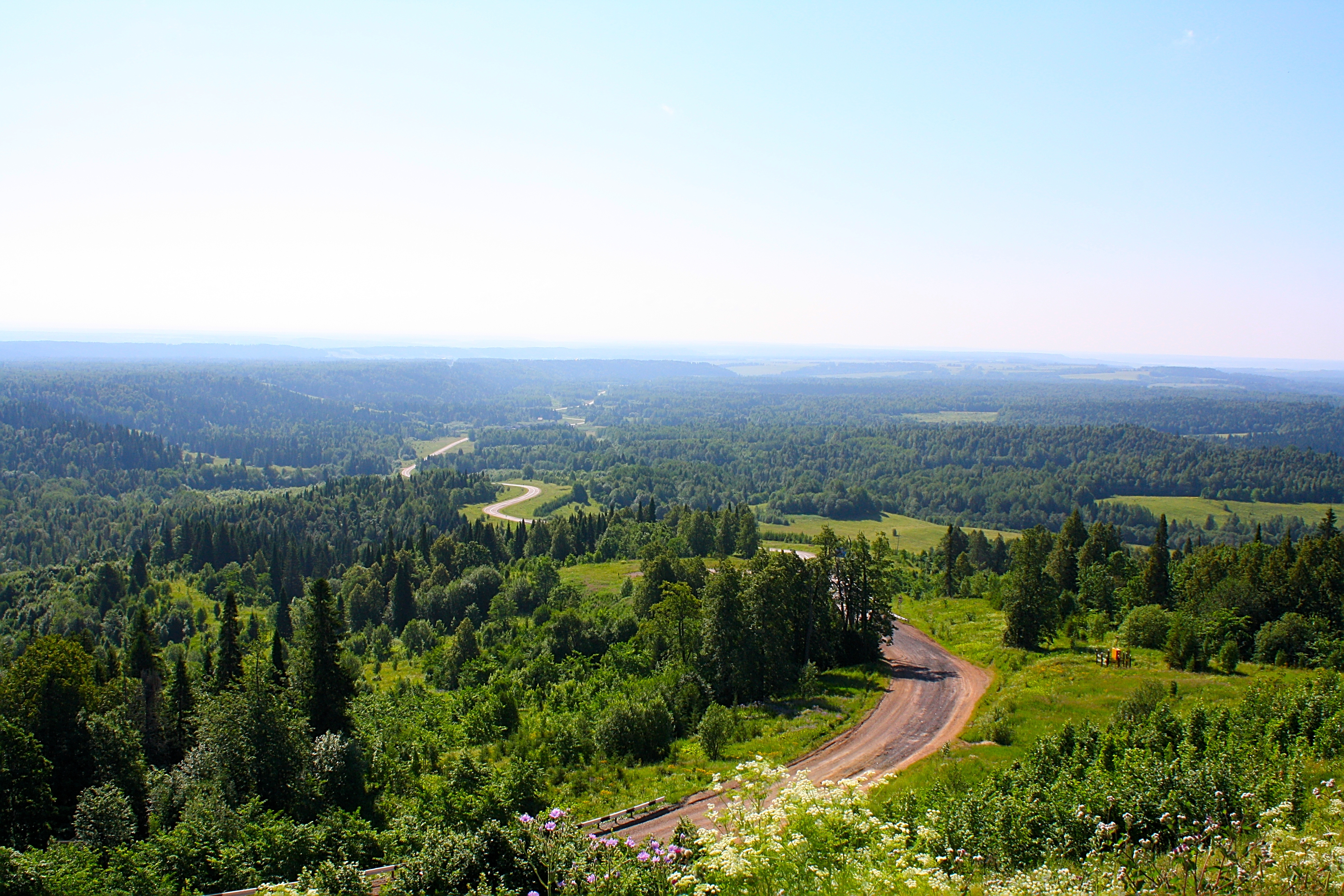 Лесные Дали Фото