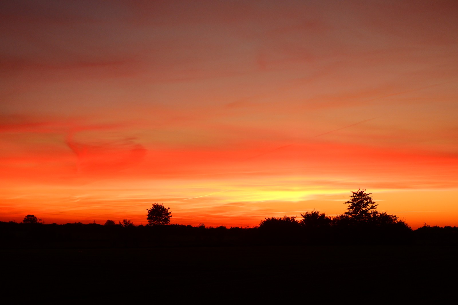 Arafed sky with a red and orange sky and some trees (cloud, tree, natural landscape, afterglow, dusk)