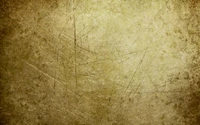 Textured Grunge Wall with Subtle Grass Patterns