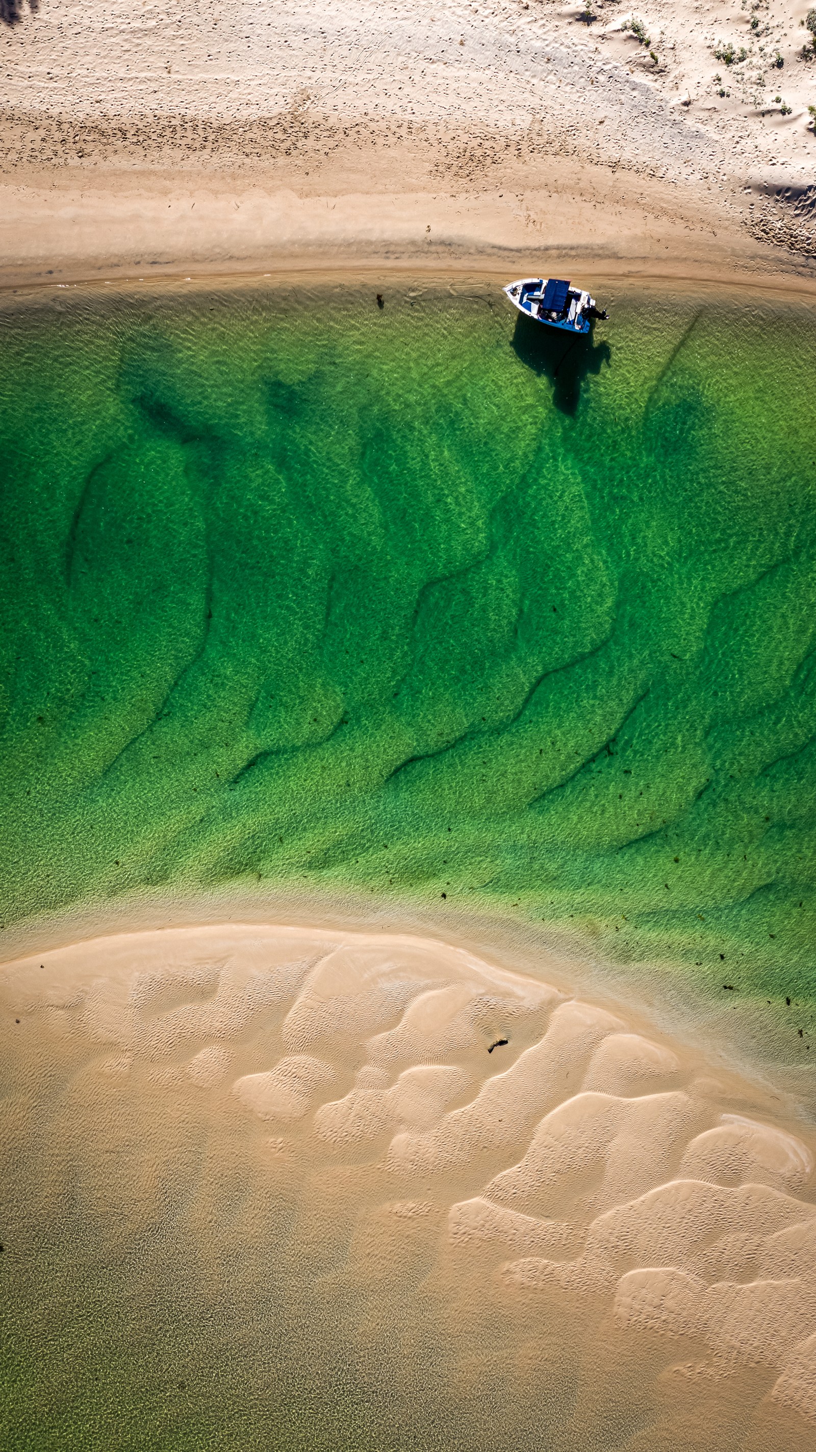 Lade sand, grasland, ökoregion, azurblau, gewässer Hintergrund herunter