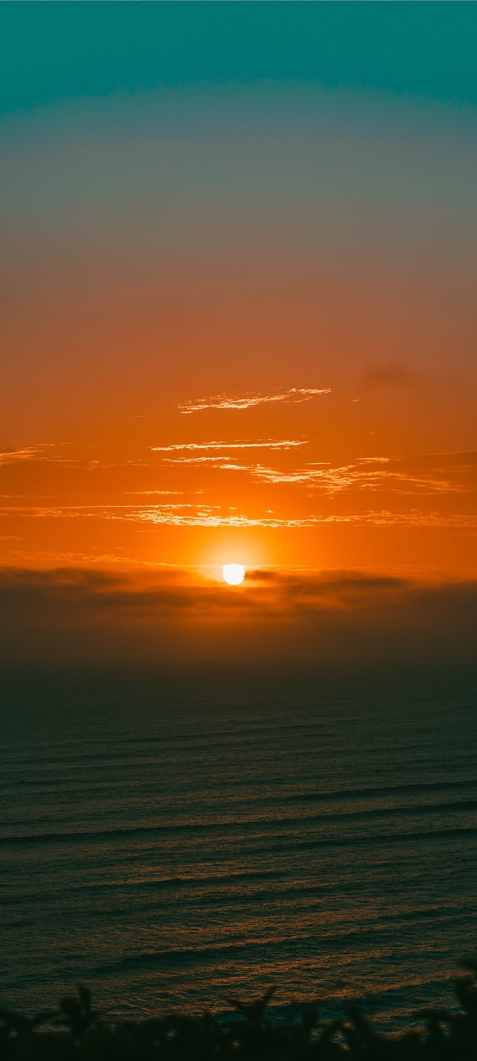 Jirafas volando una cometa al atardecer sobre el océano (nube, agua, resplandor, ámbar, naranja)