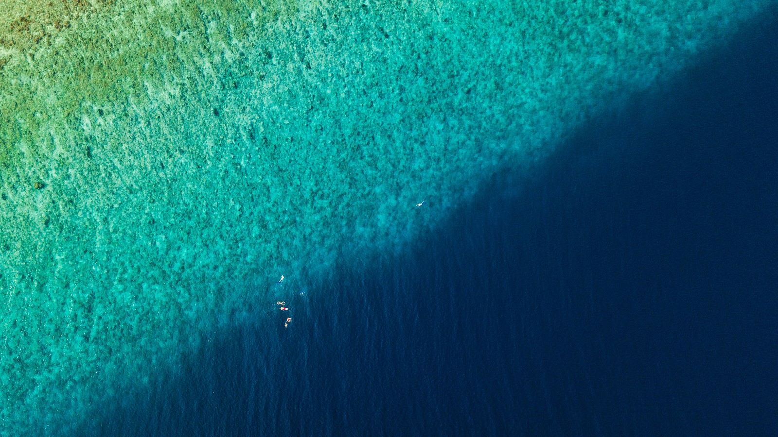 Aerial view of a boat sailing in the ocean near a sandy shore (beach, aerial view, scenery)