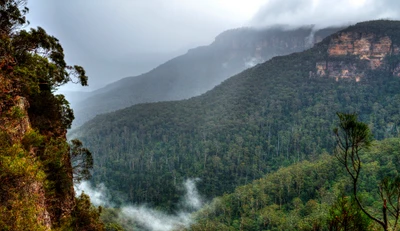 Sauvagerie majestueuse des Highlands près de Sydney : Montagnes luxuriantes et vallées brumeuses