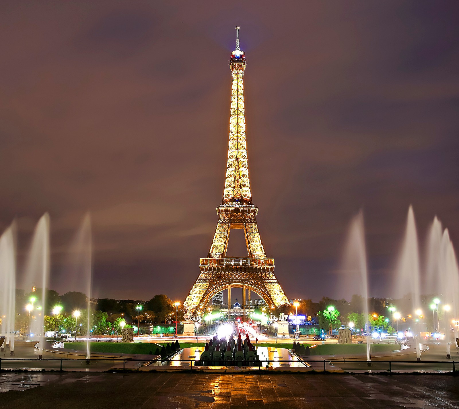 Girafes devant la tour eiffel la nuit (asegcr, ezvr, rbtv, sde, tvr)