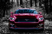 auto, car, cars, fast, ford wallpaper