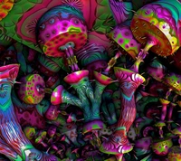 Vibrant Trippy Mushroom Wonderland