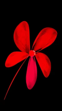 flor, rojo