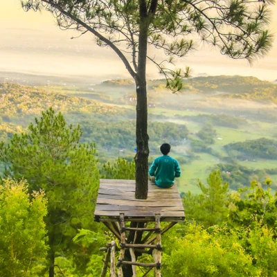 Solitude in Nature: A Person Reflecting from a Tree Platform