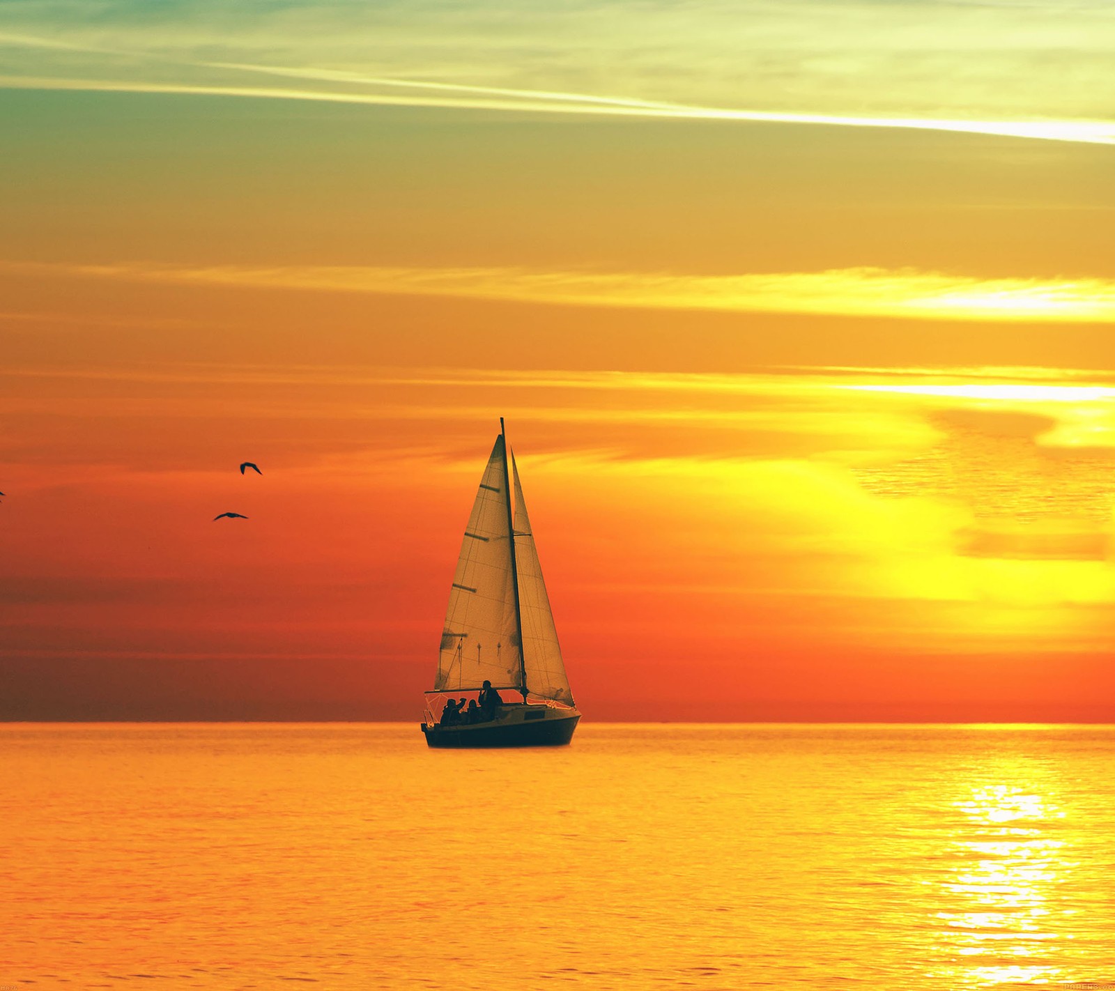 Un voilier arabe dans l'océan au coucher du soleil avec des oiseaux volant dans le ciel (bateau, coucher de soleil, vue)