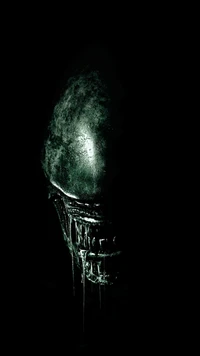 alien, alien face wallpaper