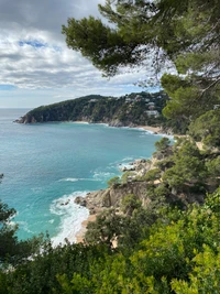 Vista costeira cênica com vista para águas azuis e vegetação exuberante