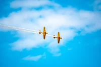 Acrobacias dinámicas: Aviones amarillos actuando en el cielo