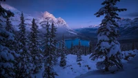 Winter Wonderland at Peyto Lake: Snow-Covered Peaks and Serene Wilderness.