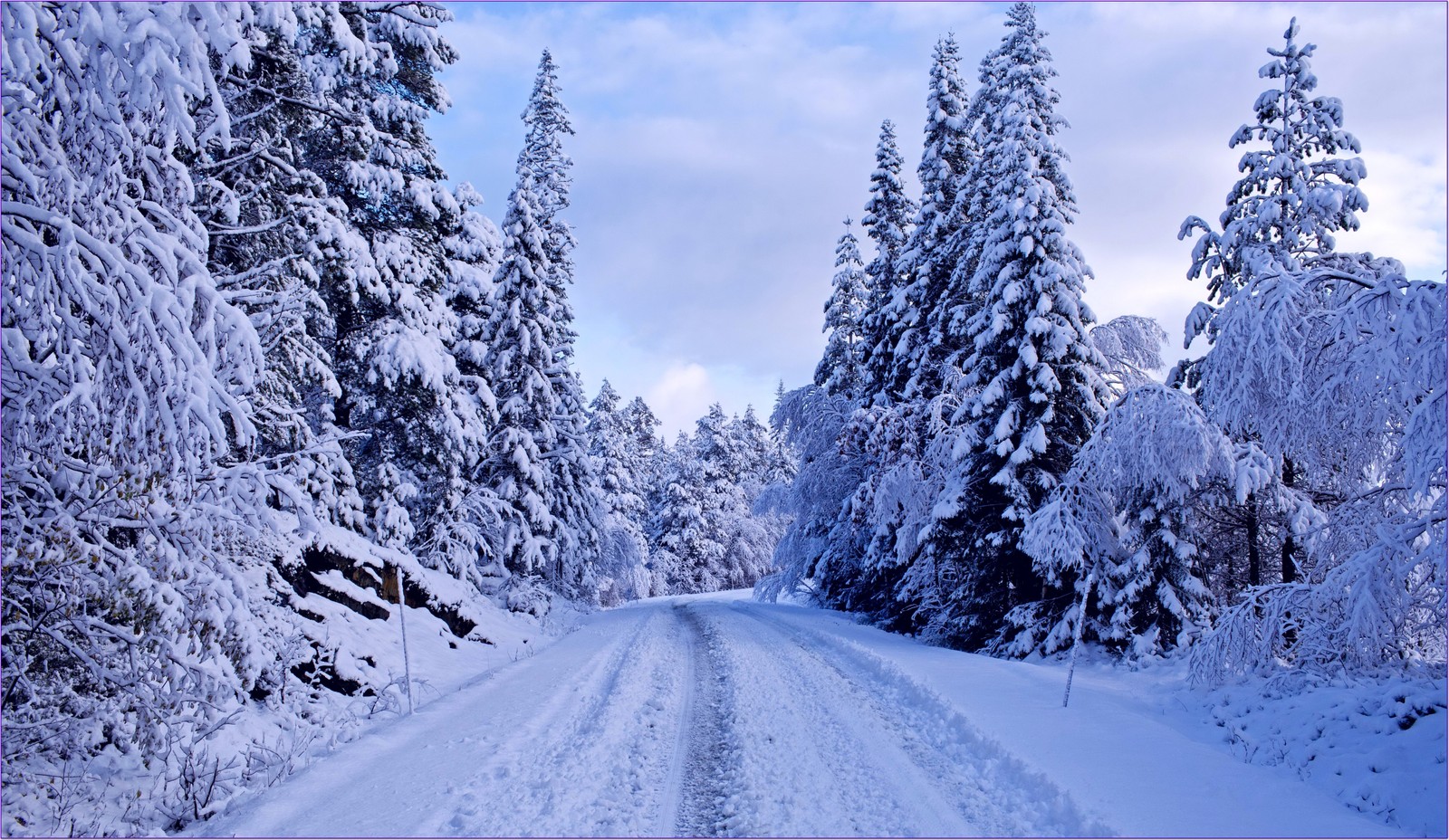 winter road, snow, winter, tree, frost wallpaper