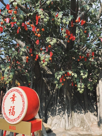 Seliger Obstbaum mit roten Dekorationen