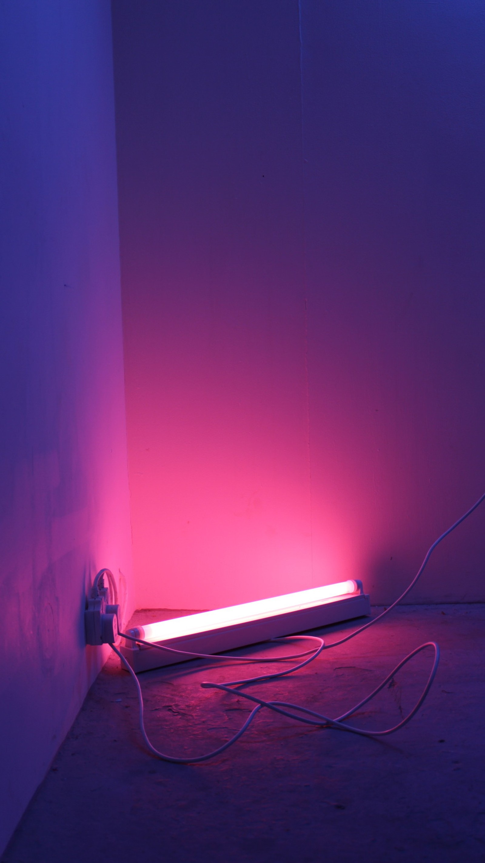 neon lighting, light, pink, blue, lighting wallpaper