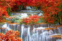 Herbstliche Gelassenheit am Multnomah Falls: Ein atemberaubender Wasserfall umgeben von lebhaften roten Blättern