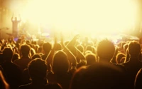 Vibrant Crowd at a Rock Concert Bathed in Golden Light