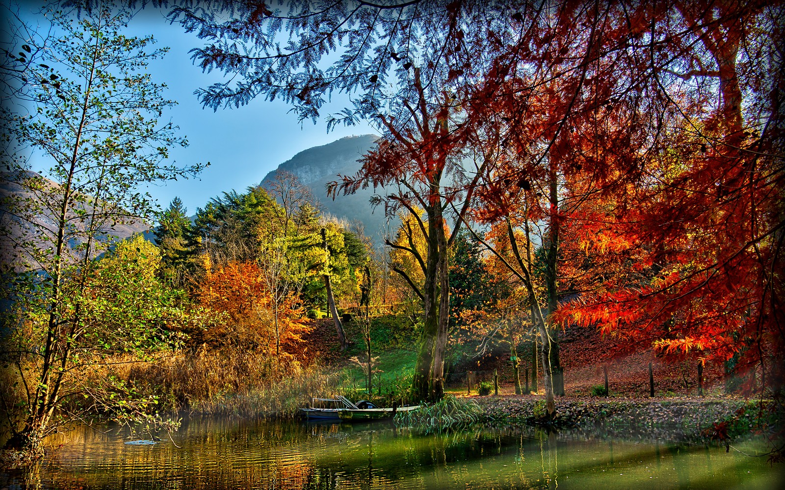 Bäume im vordergrund und ein boot im wasser (reflexion, herbst, vegetation, natürliche landschaft, natur)