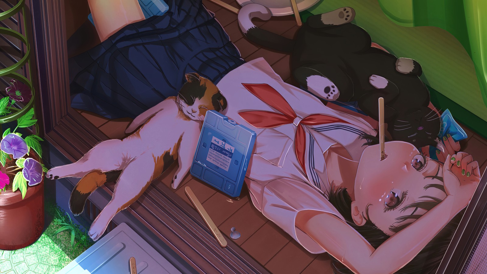 anime, school, student, girls, cat wallpaper