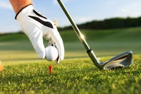 Golfer Preparing to Tee Off on a Golf Course