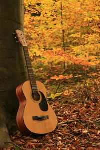 guitar, rock wallpaper