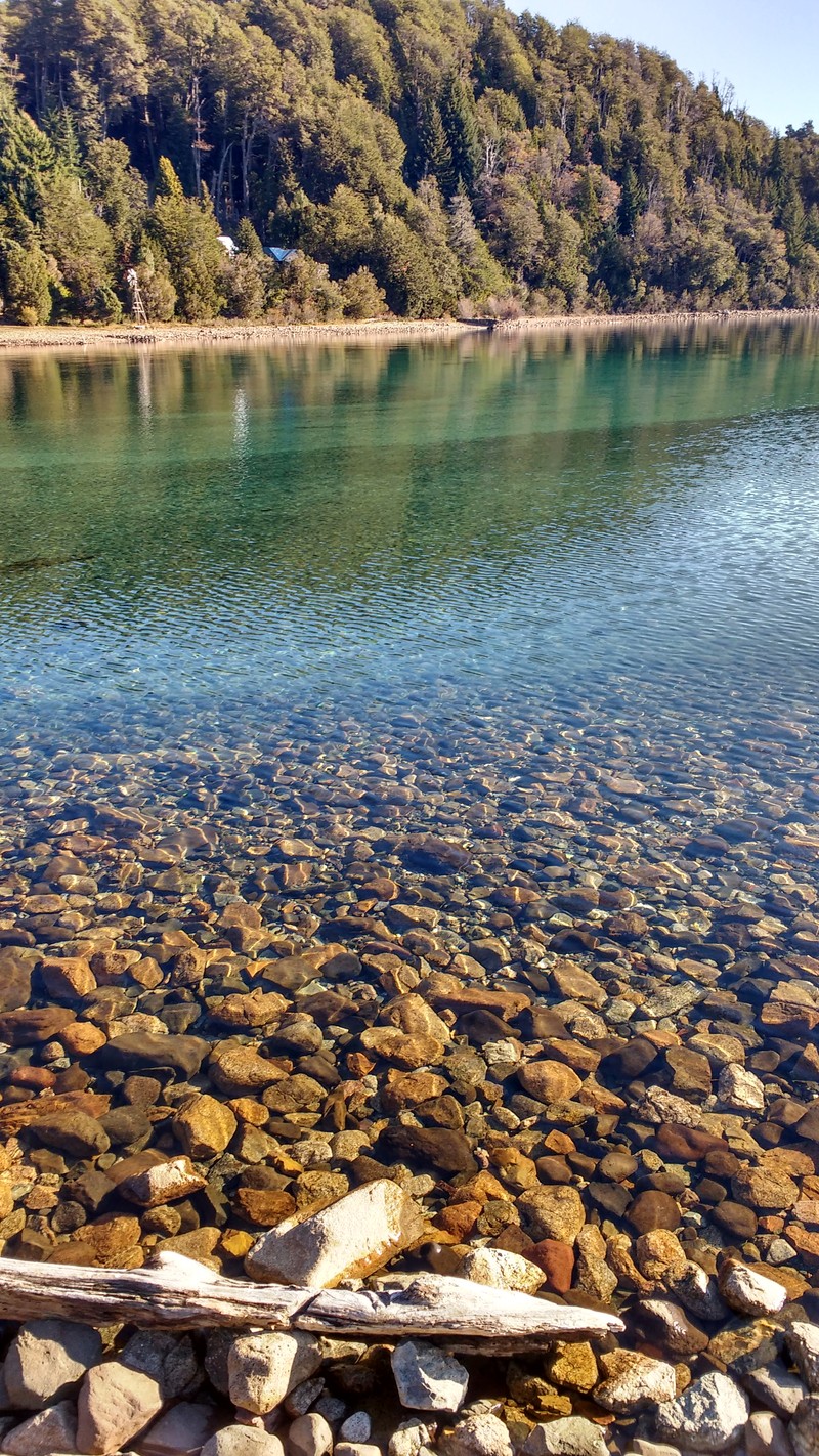 Большое водоем с камнями и деревьями на заднем плане (озеро, природа, вода)