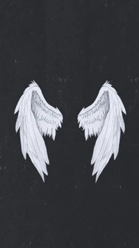 angel, black, fly, white, wings