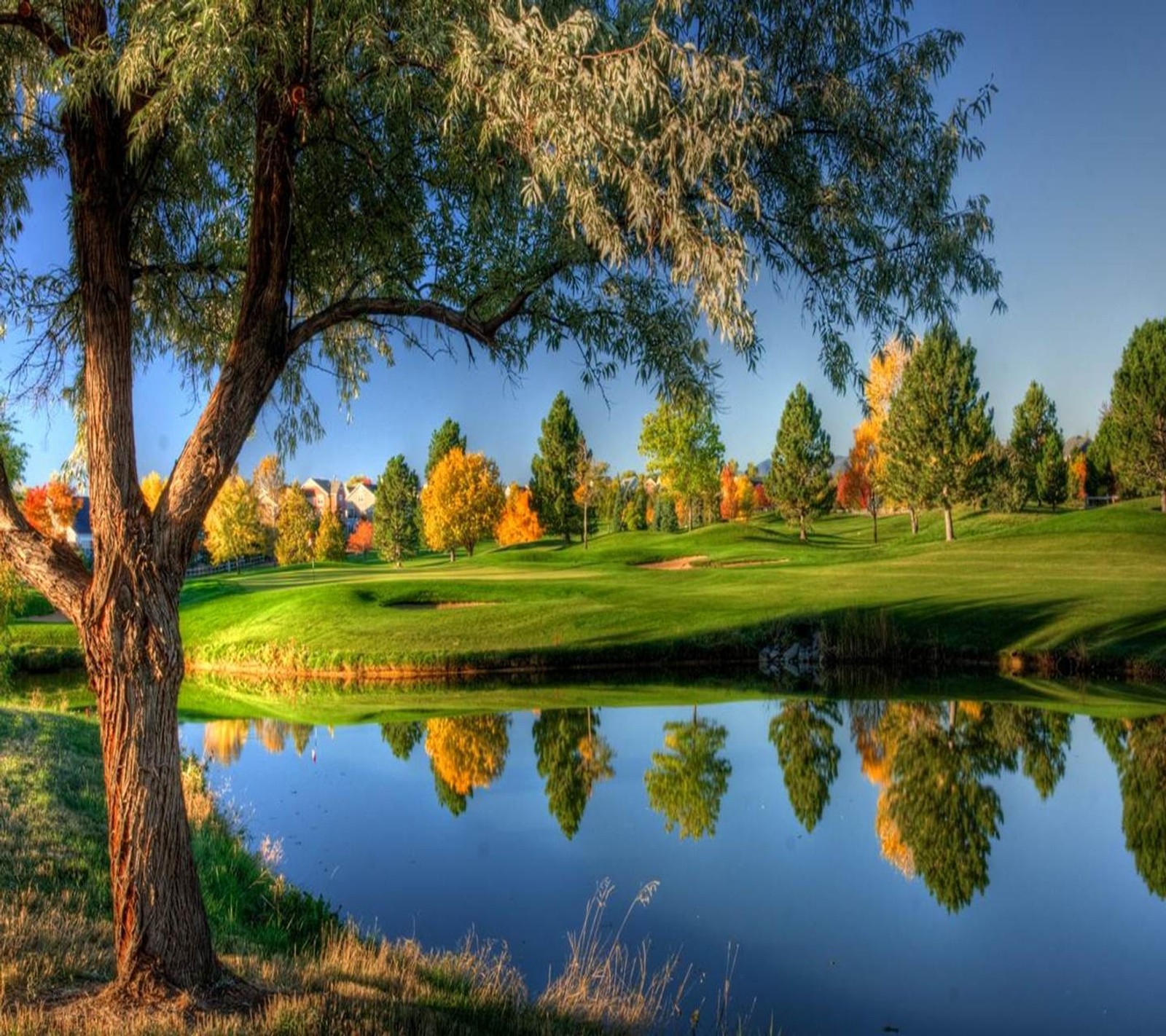 A view of a golf course with a pond and trees (3d nature, beach, colours, cool, hd nature)