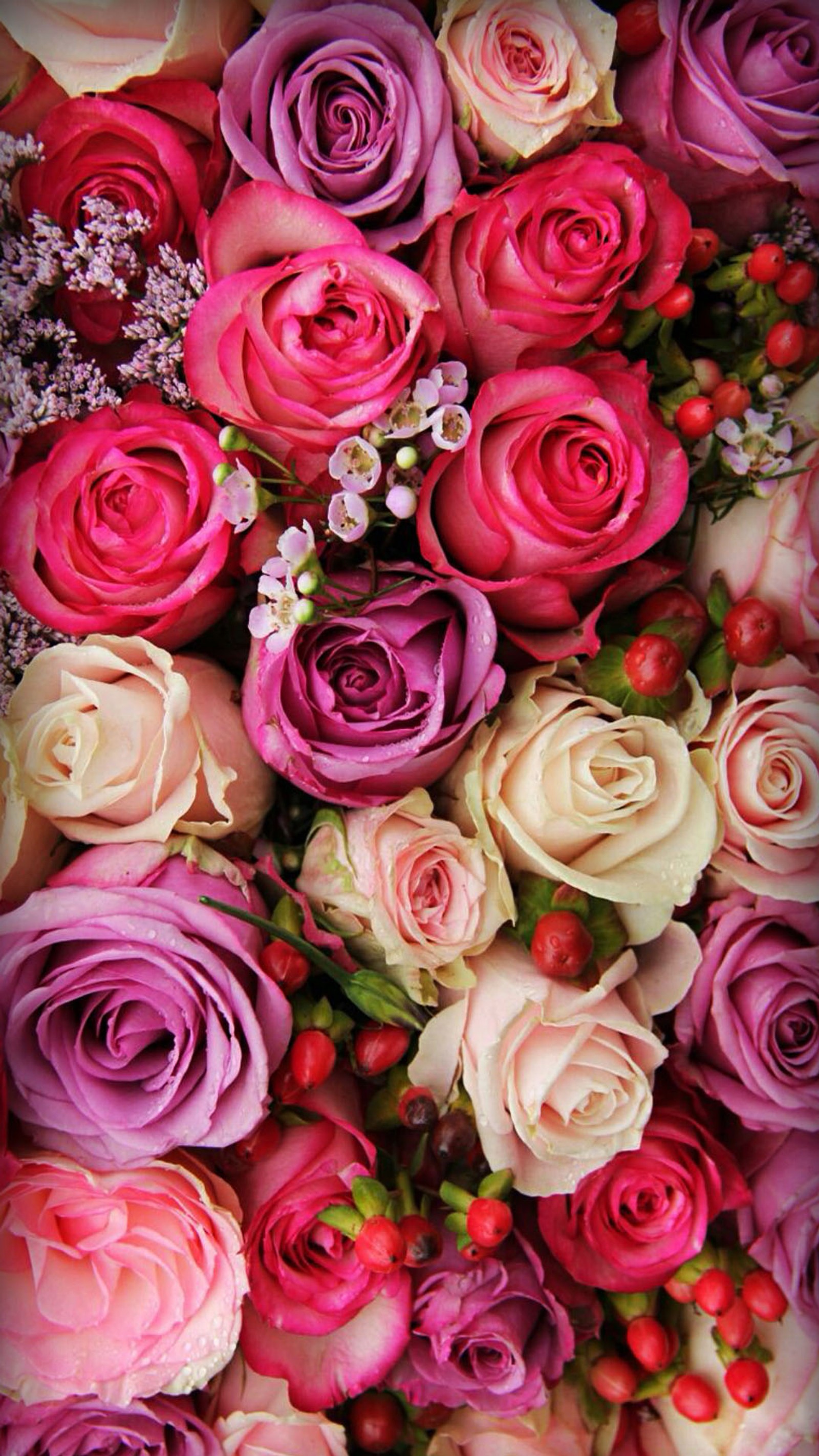 Gros plan sur un bouquet de roses roses et blanches (fleur, amour, nature, rose)