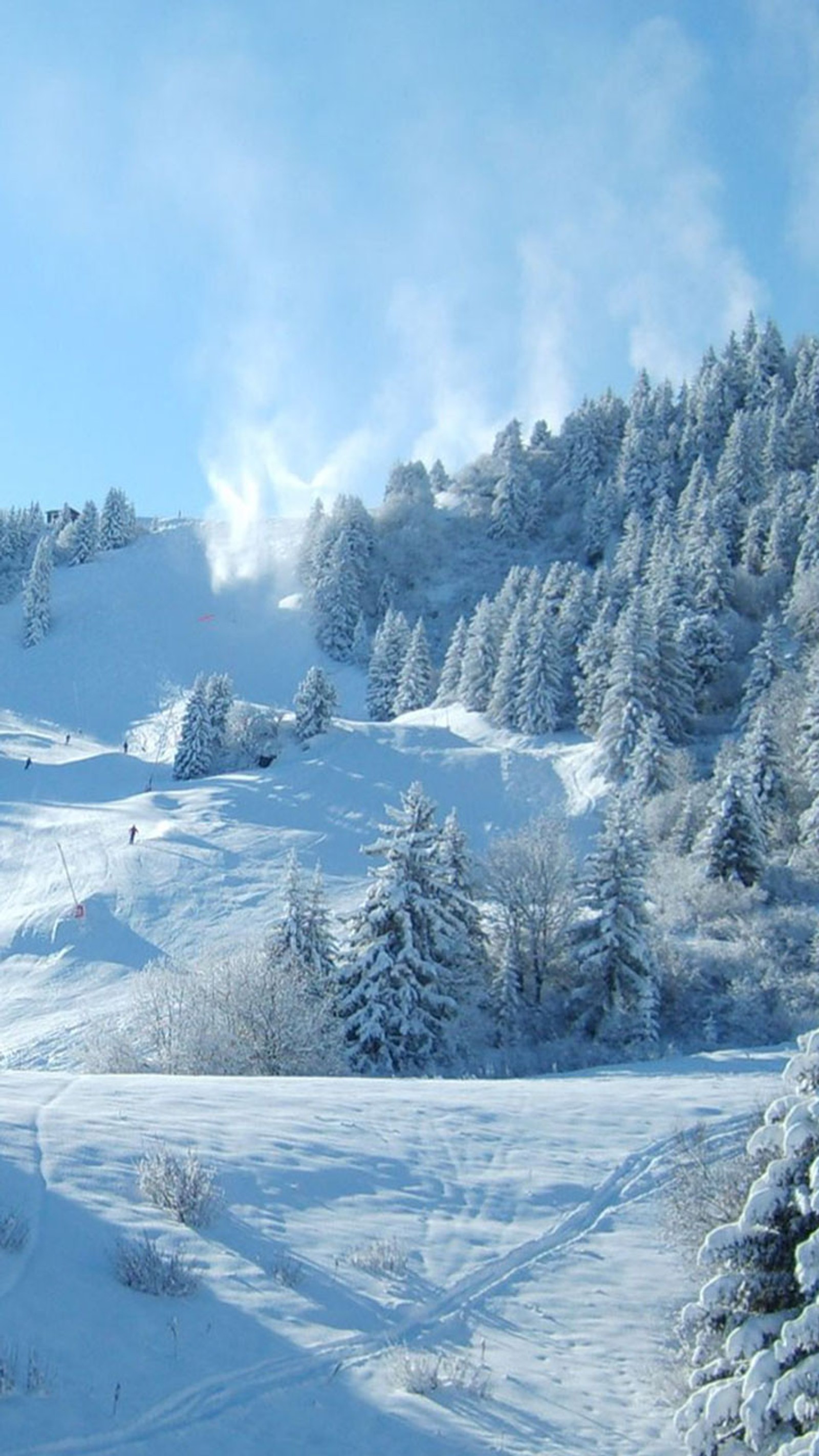 Esquiadores em uma encosta nevada com árvores e céu azul (neve, inverno)